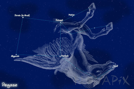 constellation pegase