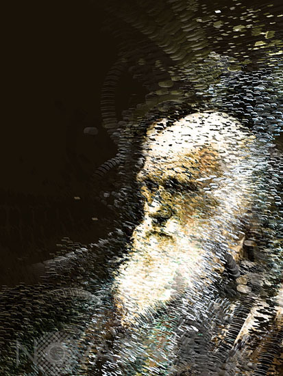 L'évolution - Illustration