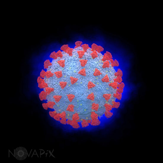 Coronavirus - Illustration