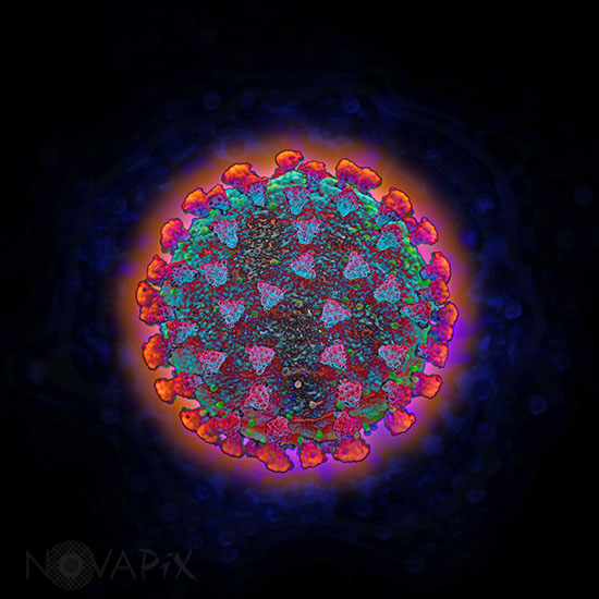 Coronavirus - Illustration
