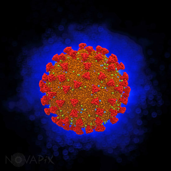 Coronavirus - Illustration