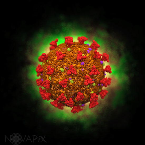 Coronavirus - Illustration
