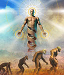 Le Dessein Intelligent - Illustration