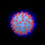 Coronavirus - Illustration