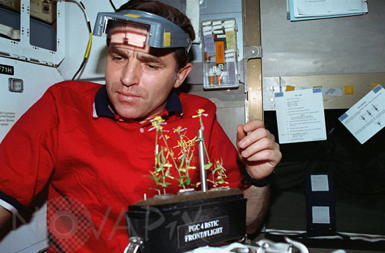 Leonid Kadenyuk with plants in space shuttle Columbia -1997