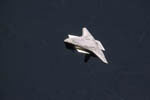 Navette Atlantis en orbite 02/2001