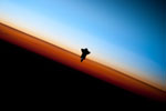 La Navette Endeavour vue d'ISS - 02/2010