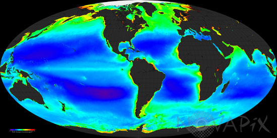 Global Chlorophyll
