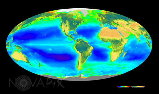 Global Biosphere