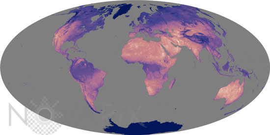 Hottest land surface temperatures between 2003 and 2005