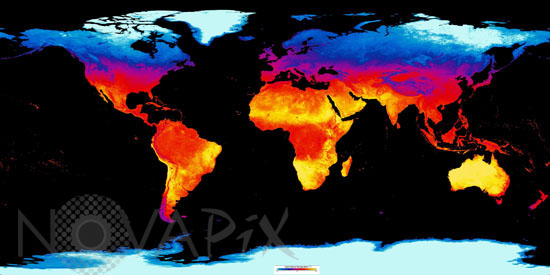 Carte des températures observées par satellite en novembre 2007