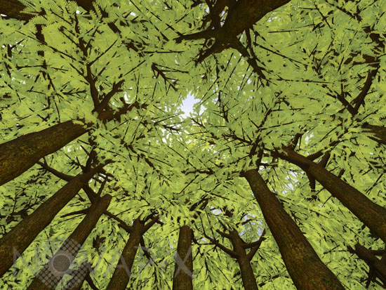 Devonian canopy - Artist view