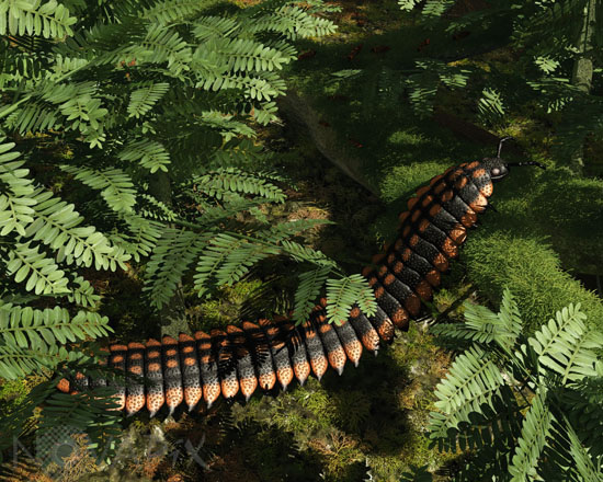 Arthropleura