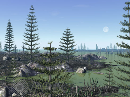 Paysage du carbonifère