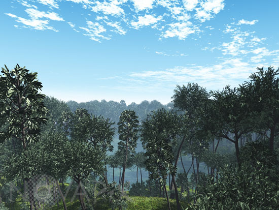 Forêt du carbonifère