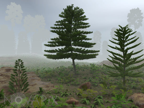 Forêt du carbonifère