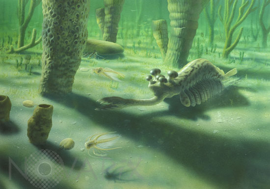Animals of the Burgess shale