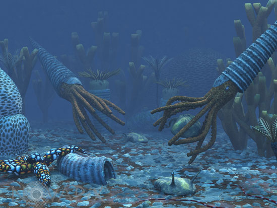 Orthoceratites & trilobites - Vue d'artiste
