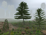 Forêt du carbonifère