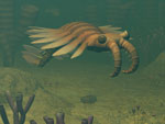 Anomalocaris