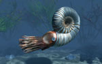 Ammonite - Vue d'artiste