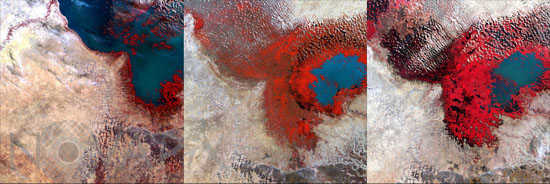 Lac Tchad vu par satellite de 1972 à  2002