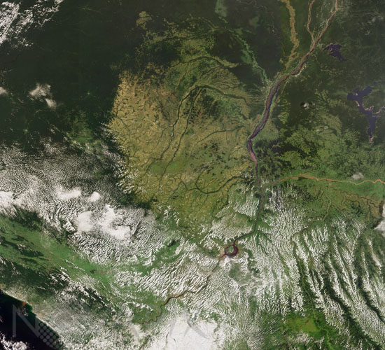 Forêts du bassin du fleuve Congo vu par satellite