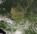 Forêts du bassin du fleuve Congo vu par satellite