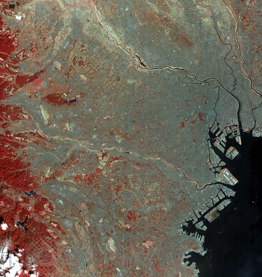 Tokyo et ses environs -Japon- vu par Terra