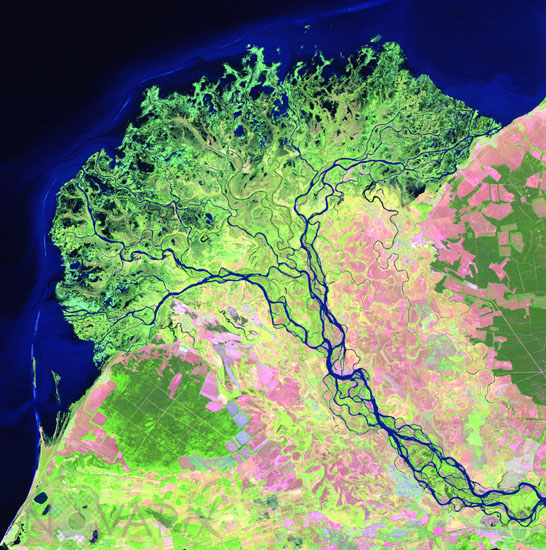 Delta de la Selenga -Mongolie -Russie