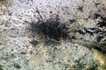 Chine vue depuis la station spatiale en 2005