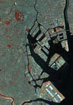 Baie de Tokyo -Japon- vu par satellite