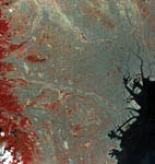 Tokyo et ses environs -Japon- vu par Terra