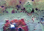 Volcan Kliuchevskoi -Russie- vu par radar 10/1994