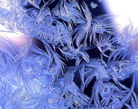 Cristaux de glace sur une vitre