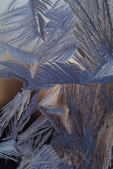 Cristaux de glace sur une vitre