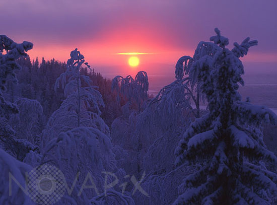 Lever de Soleil sur la forêt boréale