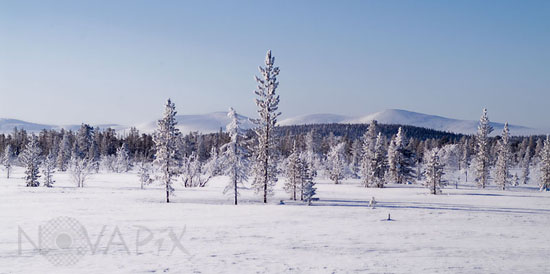 Paysage hivernal en Laponie
