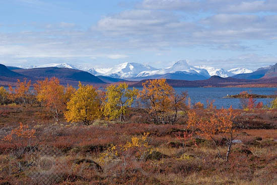 Rivages du Kilpisjarvï en automne