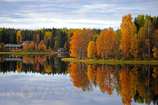Rivages du lac Immel en automne -Laponie