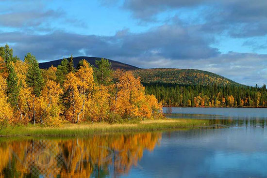 Rivages du lac Jeris en automne -Laponie