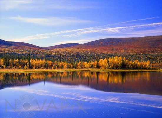 Rivages du lac Vuontis en automne -Laponie