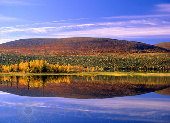 Rivages du lac Vuontis en automne -Laponie