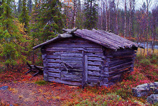 Cabane dans la forêt boréale-Laponie