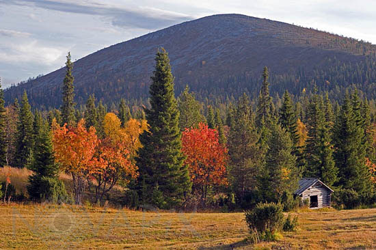 Cabane au pied du Lommoltunturi -Laponie