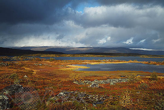 Paysage d'automne au bord du Vassijaure