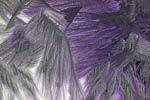 Cristaux de glace sur une vitre