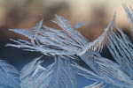 Cristaux de glace sur une vitre