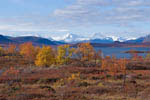 Rivages du Kilpisjarvï en automne