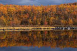 Rivages du Kilpisjarvï en automne